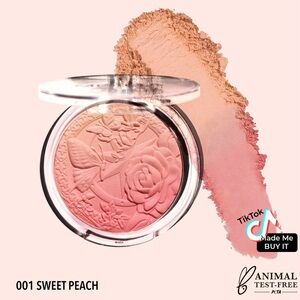 🍑 MOIRA Signature Ombre Blusher – Sweet Peach (001)